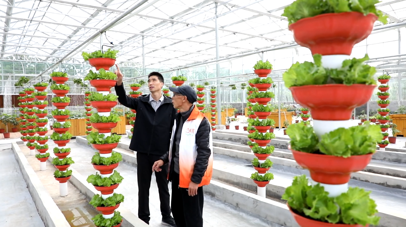 PP电子·仿照器(试玩游戏)官方网站